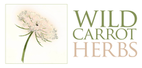 Wild Carrot Herbs
